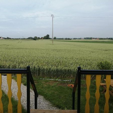 Roulotte Et Jacuzzi De Rachel Au Domaine Du Reuze Vila Winnezeele Exterior foto